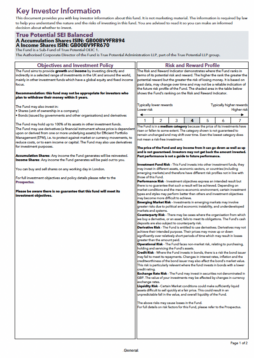 True Potential SEI Balanced Key Investor Information