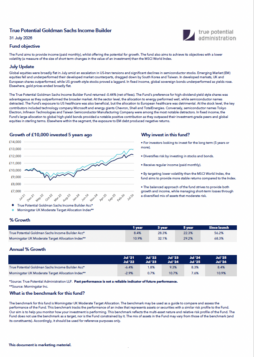 True Potential Goldman Sachs Income Builder Factsheet