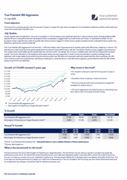 True Potential UBS Aggressive Factsheet
